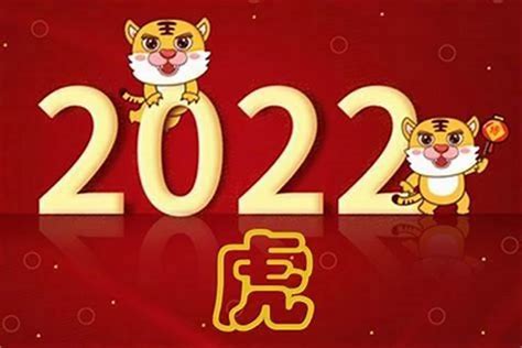 2023年是什么命